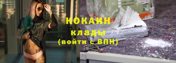 гидра Богданович