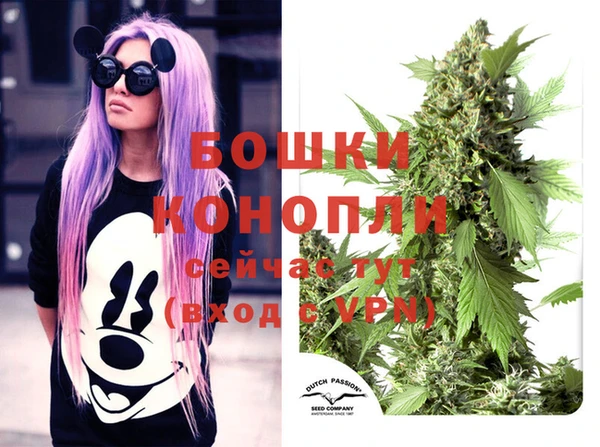 тгк Беломорск
