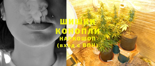 гидра Богданович
