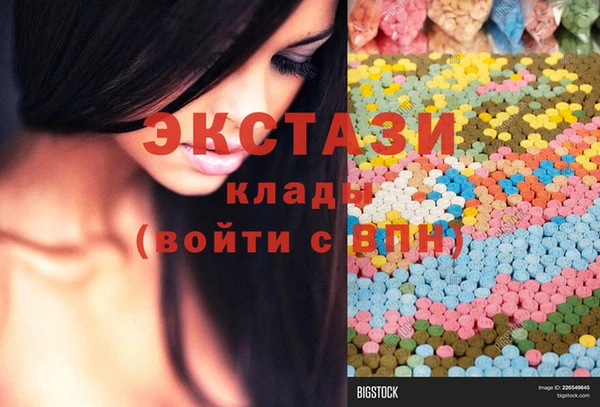 гидра Богданович