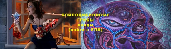 гидра Богданович