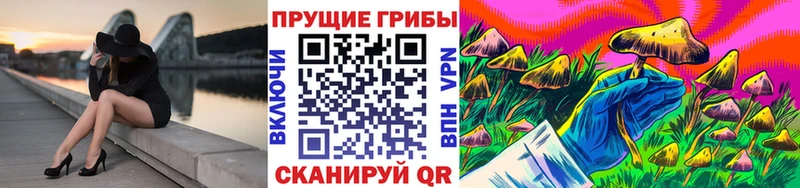 где найти наркотики  Бугуруслан  Псилоцибиновые грибы ЛСД 