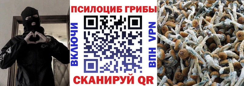 Псилоцибиновые грибы Psilocybe Бугуруслан